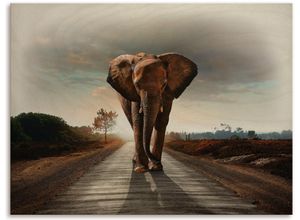 4062144727072 - Holzbild ARTLAND Ein Elefant läuft auf der Straße Bilder Gr B H T 80 cm x 60 cm x 12 cm Holzbild Elefanten Bilder Querformat 1 St braun Holzbild Holzbilder