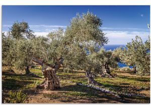 4062144744154 - Wandbild ARTLAND Olivenhain in der Serra de Tramuntana Bilder Gr B H 90 cm x 60 cm Alu-Dibond-Druck Küstenbilder Querformat 1 St grün Kunstdrucke als Alubild Leinwandbild Wandaufkleber oder Poster in versch Größen