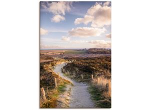 4062144745953 - Wandbild ARTLAND Weg durch Naturschutzgebiet Morsum-Kliff Bilder Gr B H 60 cm x 90 cm Leinwandbild Felder Hochformat 1 St lila Kunstdrucke als Alubild Leinwandbild Wandaufkleber oder Poster in versch Größen