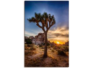 4062144759325 - Wandbild ARTLAND Sonnenuntergang Joshua Tree NationalPark Bilder Gr B H 60 cm x 90 cm Leinwandbild Bilder vom Sonnenuntergang & -aufgang Hochformat 1 St braun Kunstdrucke als Alubild Leinwandbild Wandaufkleber oder Poster in versch Größen