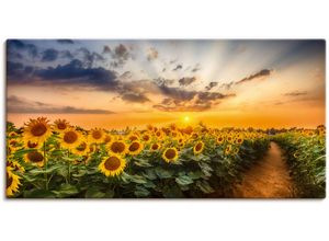 4062144760857 - Wandbild ARTLAND Sonnenblumenfeld bei Sonnenuntergang Bilder Gr B H 100 cm x 50 cm Leinwandbild Blumenbilder Querformat 1 St gelb Kunstdrucke als Alubild Leinwandbild Wandaufkleber oder Poster in versch Größen