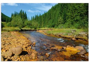 4062144765319 - Wandbild ARTLAND Fluss Neagra Caliman-Nationalpark Bilder Gr B H 120 cm x 80 cm Alu-Dibond-Druck Gewässer Querformat 1 St bunt Kunstdrucke als Alubild Leinwandbild Wandaufkleber oder Poster in versch Größen