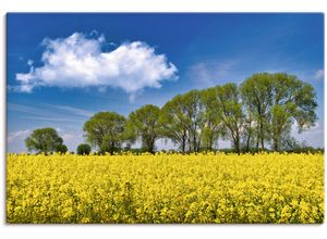 4062144820100 - Wandbild ARTLAND Rapsfeld im Frühling Bilder Gr B H 90 cm x 60 cm Leinwandbild Felder Querformat 1 St gelb Kunstdrucke als Alubild Leinwandbild Wandaufkleber oder Poster in versch Größen