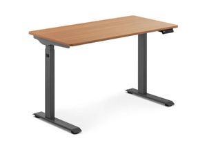 4062859026286 - Schreibtisch höhenverstellbar 73 - 123 cm Stehschreibtisch braun grau