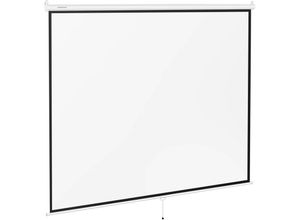 4062859972989 - Beamer Leinwand Heimkino Projektionsfläche Rollo Leinwand Decke 43 313 x 239 cm