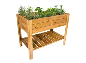 4062961003786 - Lemodo Hochbeet aus Holz mit Ablage Pflanzkasten 110 x 60 cm Kräuterbeet mit 6 Pflanzzonen