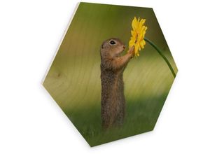 4063129106172 - Holzbild WALL-ART Eichhörnchen Blumen Bilder Gr B H T 75 cm x 09 cm x 65 cm 1 St bunt (mehrfarbig) Bild Holzbild Holzbilder Bilder