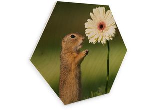 4063129106196 - Holzbild WALL-ART Eichhörnchen Blumen Bilder Gr B H T 55 cm x 09 cm x 47 cm 1 St bunt (mehrfarbig) Bild Holzbild Holzbilder Bilder