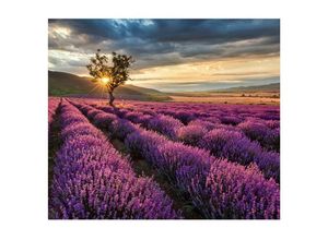 4063129120086 - Herd-Abdeckplatte WALL-ART Lavendel Blumen Sonnenaufgang Herdabdeckplatten Gr B H 60 cm x 52 cm 1 tlg bunt Küchendekoration moderne Schutzplatte