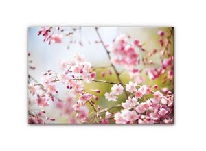 4063129120727 - Küchenrückwand WALL-ART Floral Spritzschutz Kirschblüten Spritzschutzwände Gr B H 100 cm x 70 cm bunt Küchendekoration Herd Waschbecken Wandschutz