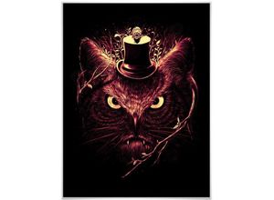 4063129130993 - Poster WALL-ART Nicebleed Meowl Katze Eule Magie Bilder Gr B H T 30 cm x 24 cm x 01 cm Tiere 1 St bunt Poster Bilder Poster Wandbild Bild Wandposter