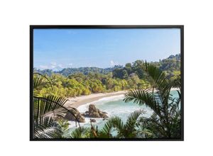 4063129142903 - Poster WALL-ART Dschungelblick Costa Rica Bilder Gr B H T 40 cm x 30 cm x 01 cm Landschaften 1 St bunt Poster Poster Wandbild Bild Wandposter