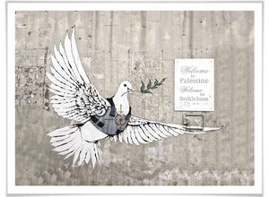 4063129152483 - Poster WALL-ART Graffiti Bilder Die Friedenstaube Gr B H T 30 cm x 24 cm x 01 cm Vögel 1 St bunt Poster Bilder Poster Wandbild Bild Wandposter