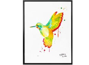 4063129154999 - Poster WALL-ART Kolibri Bilder Gr B H T 50 cm x 60 cm x 01 cm Vögel 1 St bunt Poster Poster Wandbild Bild Wandposter