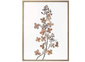 4063129156634 - Poster WALL-ART Hortensie Bilder Gr B H T 50 cm x 60 cm x 01 cm Blumen 1 St bunt Poster