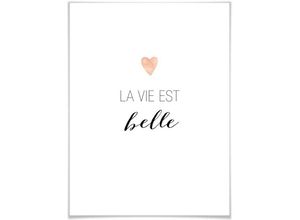 4063129157327 - Poster WALL-ART La vie est belle Bilder Gr B H T 24 cm x 30 cm x 01 cm Schriftzug 1 St weiß Poster Poster Wandbild Bild Wandposter