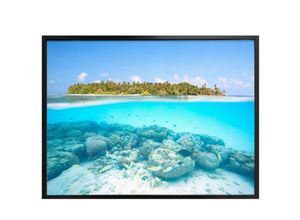 4063129173129 - Poster WALL-ART Unterwasserwelt Malediven Bilder Gr B H T 60 cm x 50 cm x 01 cm Meer 1 St bunt Poster Poster Wandbild Bild Wandposter