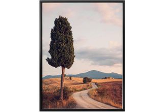 4063129173143 - Poster WALL-ART Zypressenweg Bilder Gr B H T 30 cm x 40 cm x 01 cm Landschaften 1 St bunt Poster Poster Wandbild Bild Wandposter