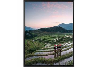 4063129173747 - Poster WALL-ART Reisterrassen Vietnam Bilder Gr B H T 40 cm x 50 cm x 01 cm Landschaften 1 St bunt Poster Poster Wandbild Bild Wandposter