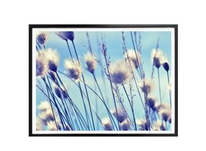 4063129176618 - Poster WALL-ART Wind im Gras Bilder Gr B H T 30 cm x 24 cm x 01 cm Landschaften 1 St bunt Poster