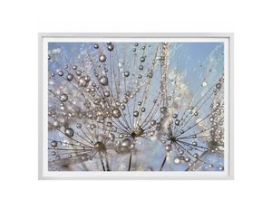 4063129176861 - Poster WALL-ART Wassertropfen Pusteblume Bilder Gr B H T 30 cm x 24 cm x 01 cm Blumen 1 St bunt Poster