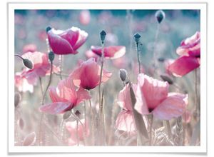 4063129177059 - Poster WALL-ART Mohnblumen Wiese Bilder Gr B H T 30 cm x 24 cm x 01 cm Blumen 1 St bunt Poster