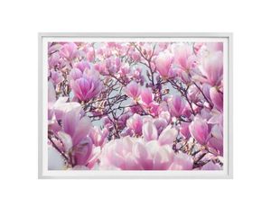 4063129177134 - Poster WALL-ART Magnolienbaum Bilder Gr B H T 60 cm x 50 cm x 01 cm Baum 1 St bunt Poster