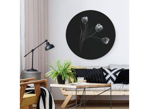 4063129188888 - Alu-Dibond-Poster Rund Metalloptik Wandbild Amsterdam Tulpen Trio Vintage Blumen Deko Pan ø 100cm - schwarz