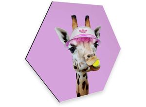 4063129188932 - K&l Wall Art - Hexagon Alu-Dibond Poster Adidas Tennis Giraffe Wanddeko Retro Wohnzimmer Safari Deko Loose 75x65cm - bunt 4063129188932 - K&l Wall Art - Hexagon Alu-Dibond Poster Adidas Tennis Giraffe Wanddeko Retro Wohnzimmer Safari Deko Loose 75x65cm - bunt