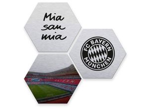 4063129188963 - Fc Bayern München - Hexagon Alu-Dibond Poster Fußball Logo 3er Set Wandbild Vintage Silber Metalloptik 25x22cm - silber