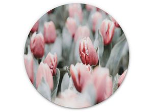 4063129191772 - K&l Wall Art - Alu-Dibond-Poster Rund Metalloptik Wandbild Frühlingstulpen Amsterdam Tulpe Floral Annie ø 30cm - grün