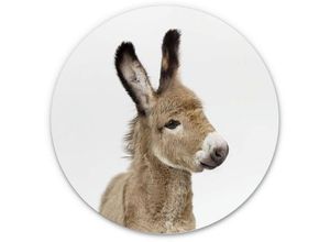 4063129191901 - K&l Wall Art - Alu-Dibond-Poster Rund Metalloptik Wandbild Kinderzimmer Deko Baby Esel Pferd Sisi&Seb ø 30cm - weiß 4063129191901 - K&l Wall Art - Alu-Dibond-Poster Rund Metalloptik Wandbild Kinderzimmer Deko Baby Esel Pferd Sisi&Seb ø 30cm - weiß