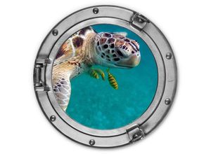 4063129192205 - Alu-Dibond-Poster Rund Metalloptik Wandbild Schildkröte 3D Optik Bullauge Fenster Ozean ø 70cm - bunt