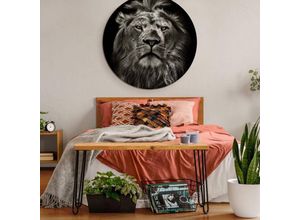 4063129192816 - K&l Wall Art - Alu-Dibond-Poster Rund Metalloptik Wandbild König der Tiere Safari Löwe Wilde Katze Afrika ø 30cm - schwarz