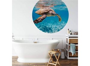 4063129195190 - Runde Fototapete Schildkröte Tapete Ozean Vliestapete Badezimmer Wandbild ø 236cm - blau