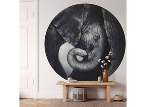 4063129197873 - K&l Wall Art - Runde Fototapete Baby Elefant Tapete Safari Tiere Vliestapete Kinderzimmer Deko ø 140cm - grau