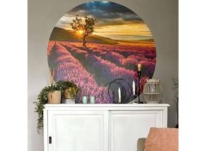 4063129198177 - K&l Wall Art - Runde Fototapete Lavendel Acker Tapete lila Landschaft Vliestapete Wandbild ø 188cm - lila