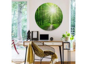 4063129201624 - K&l Wall Art - Alu-Dibond-Poster Rund Metalloptik Wandbild Sonnenlicht Wald Spaziergang grüne Bäume Natur ø 45cm - grün