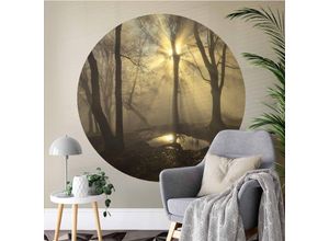 4063129202331 - K&l Wall Art - Runde Fototapete Cuadrado Wald Lichtung Tapete Natur Wanderung Vliestapete ø 188cm - braun