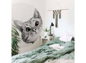 4063129202393 - K&l Wall Art - Runde Fototapete Graves Kleine Katze Tapete Kinderzimmer Vliestapete Kätzchen ø 140cm - schwarz