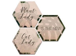 4063129202492 - K&l Wall Art - Hexagon Alu-Dibond Poster Kupfer Metalloptik Plantlady Catlady Dschungel Pflanzen Wandbild 3er Set je 35x30cm - rosa