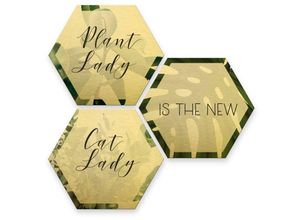 4063129202553 - K&l Wall Art - Hexagon Alu-Dibond Poster Gold Metalloptik Plantlady Catlady Dschungel Pflanzen Retro Wandbild 3er Set je 35x30cm - gold