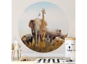 4063129204151 - K&l Wall Art - Runde Fototapete Afrikanische Tiere Tapete Safari Vliestapete Wandbild Waldtiere ø 140cm - blau