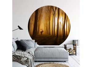 4063129204540 - K&l Wall Art - Runde Fototapete Hirsch im Wald Tapete Waldtiere Vliestapete Tiere Wandbild ø 140cm - orange