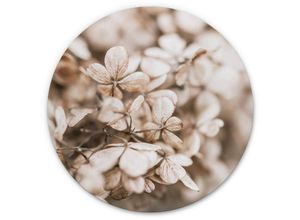 4063129204694 - K&l Wall Art - Alu-Dibond-Poster Rund Metalloptik Wandbild Samtblüten Herbst Romantik Deko Floral Annie ø 120cm - beige