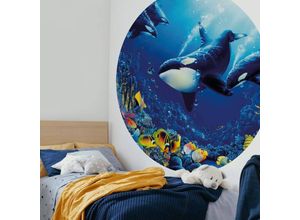 4063129205868 - K&l Wall Art - Runde Fototapete Orcas Tapete Ozean Orcas Vliestapete Kinderzimmer Wandbild ø 140cm - blau