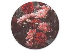 4063129206674 - K&l Wall Art - Alu-Dibond-Poster Rund Metalloptik Wandbild Sommer Dahlien Blume Retro Romantik Deko Annie ø 45cm - bunt