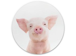 4063129207329 - Alu-Dibond-Poster Rund Metalloptik Wandbild Ferkel Baby Schweinchen Bauernhof Tiere Sisi&Seb ø 100cm - pink