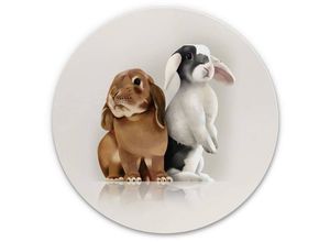 4063129207442 - K&l Wall Art - Alu-Dibond-Poster Rund Metalloptik Wandbild Kinder Häschen Baby Hase Bauernhof Sisi&Seb ø 120cm - weiß