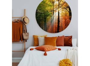 4063129208067 - K&l Wall Art - Alu-Dibond-Poster Rund Metalloptik Wandbild Goldener Herbst Natur Wald Laub Sonnenstrahlen ø 120cm - bunt
